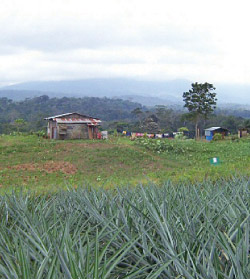 Home of a cooperative member in northern Costa Rica