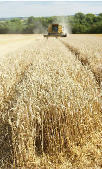 tractor in field