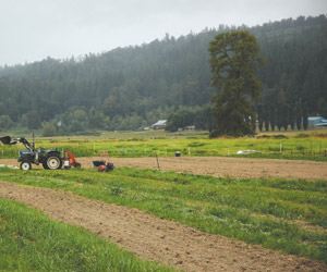 Ames Creek farm