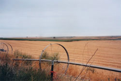 Walla Walla Valley