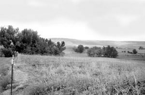 The Bennington Place - view looking east across the valley to the Blue Mountains.