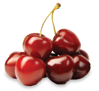 Lapin cherries