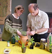 Planting